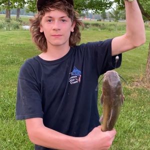 Meet your Posher, Aj